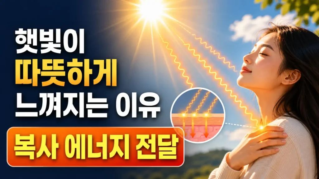 햇빛이 따뜻하게 느껴지는 이유 복사 에너지 전달