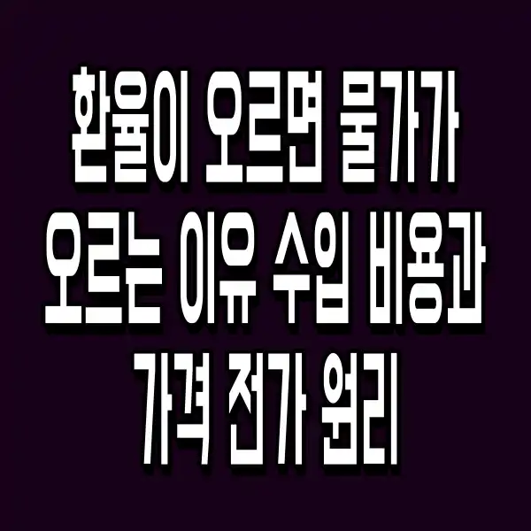 환율이 오르면 물가가 오르는 이유 수입 비용과 가격 전가 원리