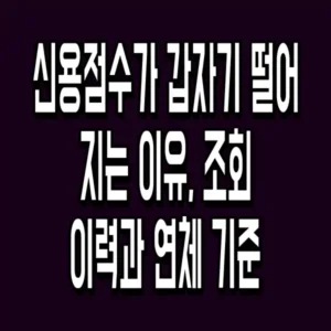 신용점수가 갑자기 떨어지는 이유, 조회 이력과 연체 기준