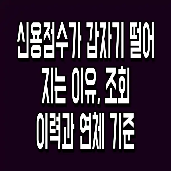 신용점수가 갑자기 떨어지는 이유, 조회 이력과 연체 기준