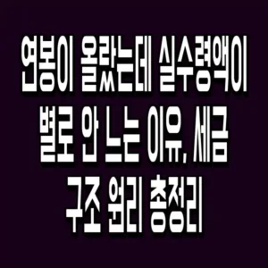 연봉이 올랐는데 실수령액이 별로 안 느는 이유, 세금 구조 원리 총정리