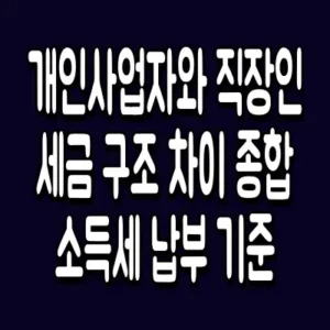 개인사업자와 직장인 세금 구조 차이 종합소득세 납부 기준