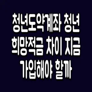청년도약계좌 청년희망적금 차이 지금 가입해야 할까