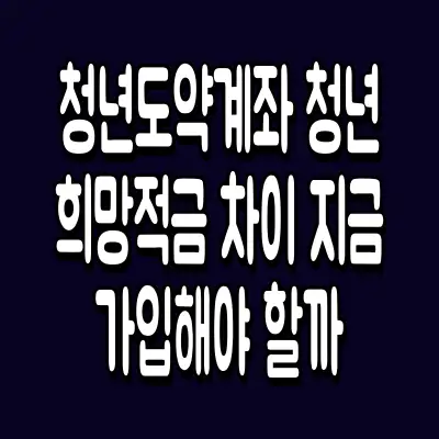 청년도약계좌 청년희망적금 차이 지금 가입해야 할까