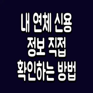 내 연체 신용정보
